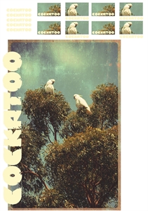 Picture of Cockatoo - L - 1.0 - DTF A3