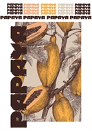 Afbeelding van Papaya - L - 1.0 - DTF A3 - for DIY